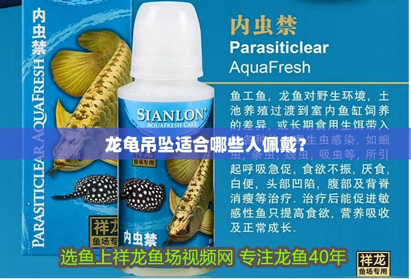 龍龜吊墜適合哪些人佩戴？