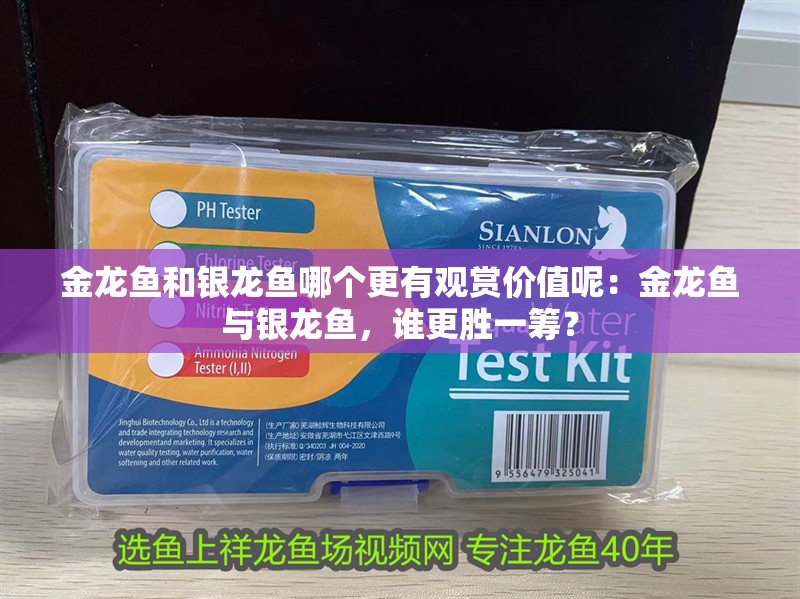 金龍魚和銀龍魚哪個(gè)更有觀賞價(jià)值呢：金龍魚與銀龍魚，誰更勝一籌？