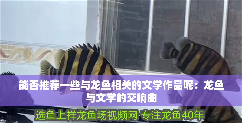 能否推薦一些與龍魚相關的文學作品呢：龍魚與文學的交響曲