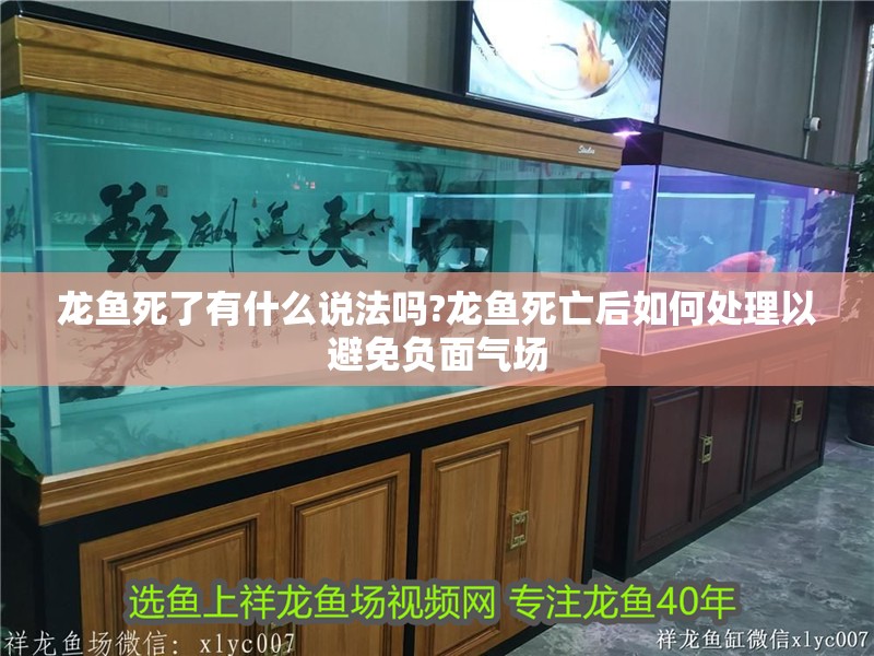 龍魚死了有什么說法嗎?龍魚死亡后如何處理以避免負面氣場 龍魚死了有什么說法嗎?龍魚死亡后如何處理以避免負面氣場 水族問答