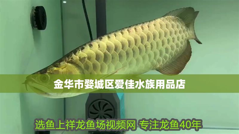 金華市婺城區愛佳水族用品店 金華市婺城區愛佳水族用品店 全國水族館企業名錄 第1張