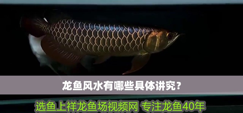 龍魚風水有哪些具體講究？