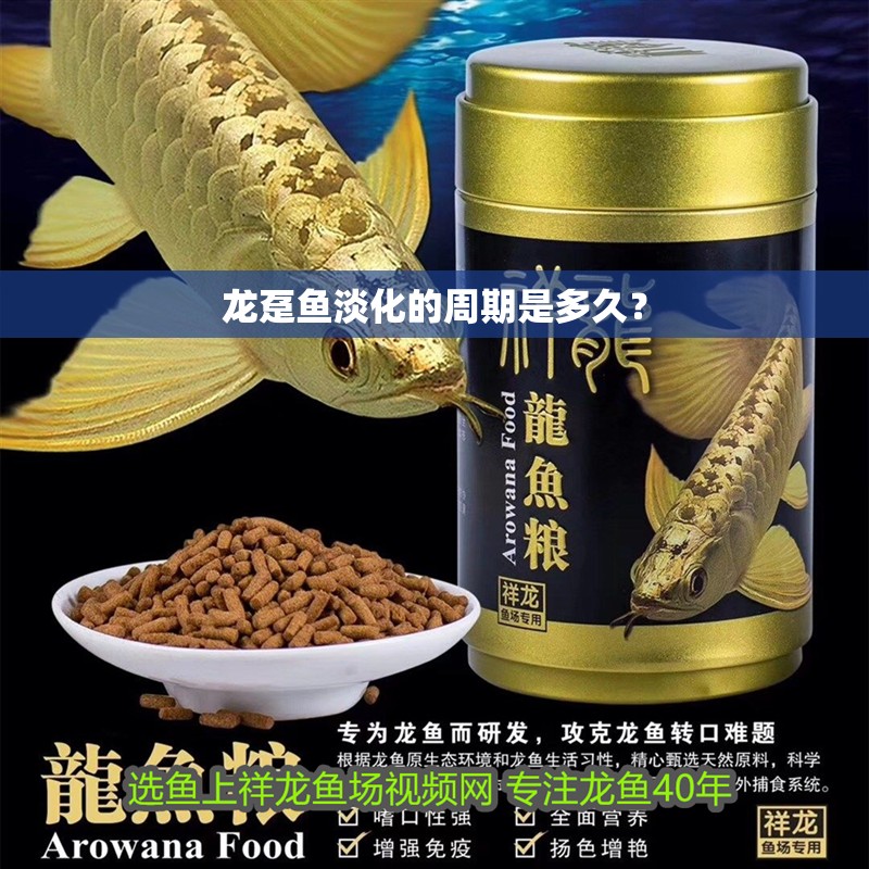 龍躉魚淡化的周期是多久？