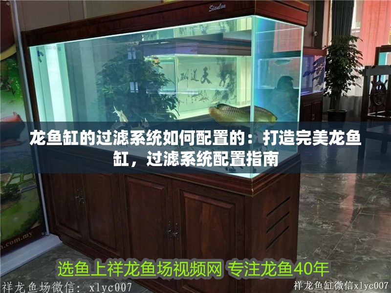 龍魚缸的過濾系統如何配置的：打造完美龍魚缸，過濾系統配置指南 龍魚缸的過濾系統如何配置的：打造完美龍魚缸，過濾系統配置指南 水族問答