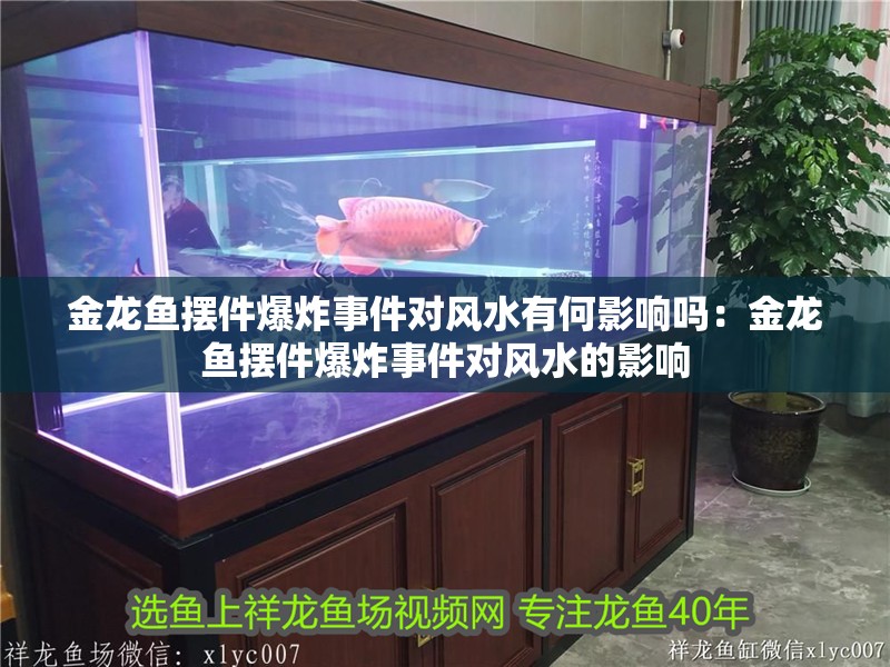 金龍魚擺件爆炸事件對風水有何影響嗎：金龍魚擺件爆炸事件對風水的影響