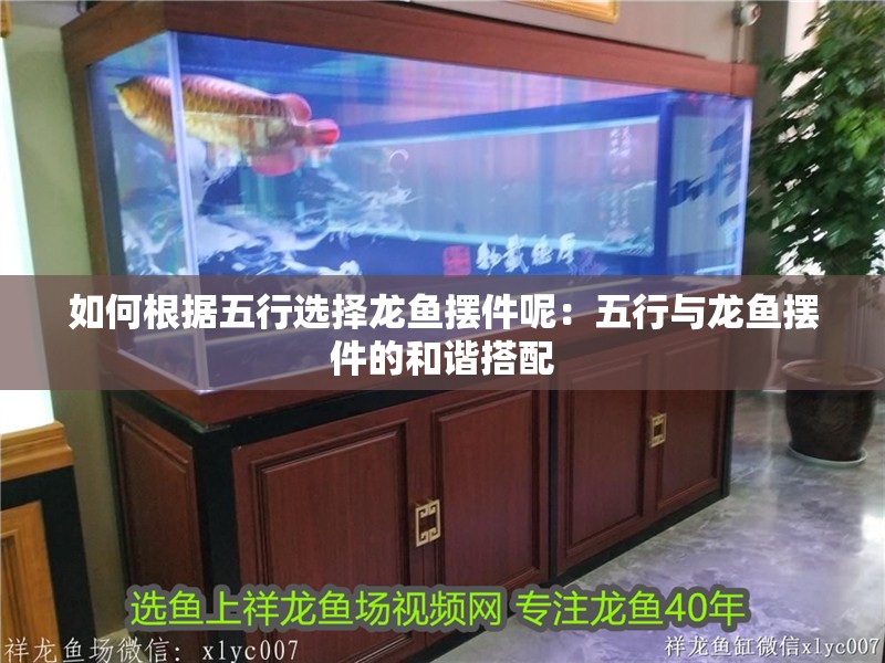 如何根據(jù)五行選擇龍魚擺件呢：五行與龍魚擺件的和諧搭配