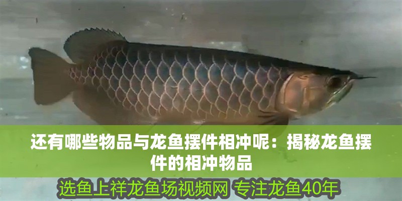 還有哪些物品與龍魚擺件相沖呢：揭秘龍魚擺件的相沖物品