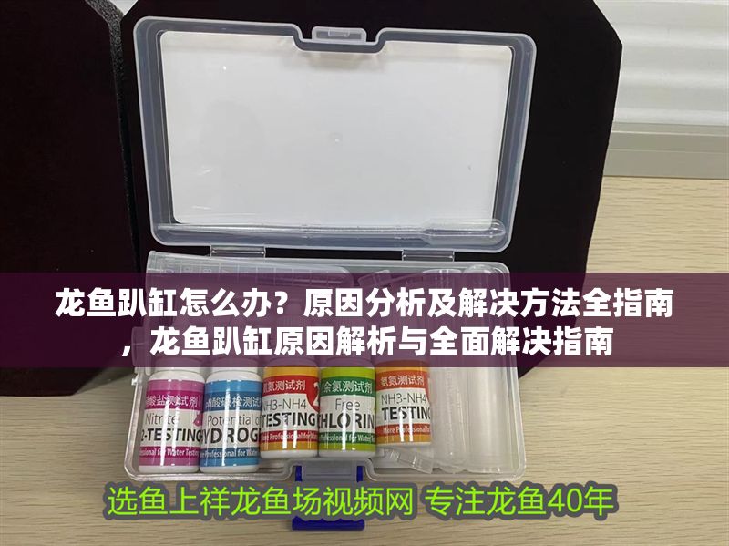 龍魚趴缸怎么辦？原因分析及解決方法全指南，龍魚趴缸原因解析與全面解決指南