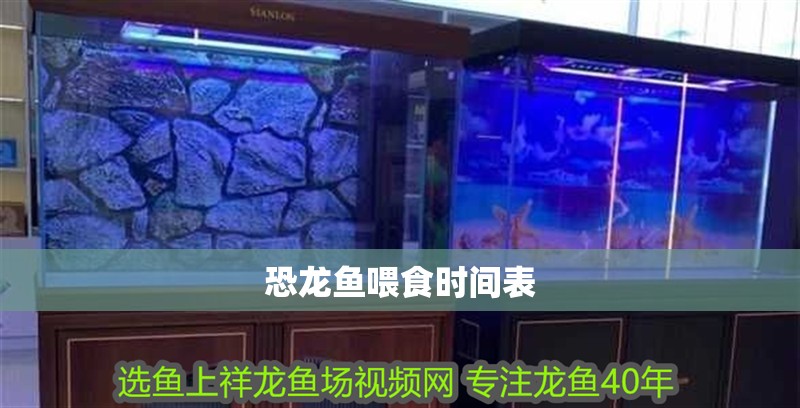 恐龍魚喂食時間表