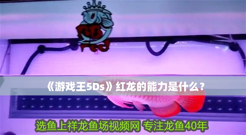 《游戲王5Ds》紅龍的能力是什么？