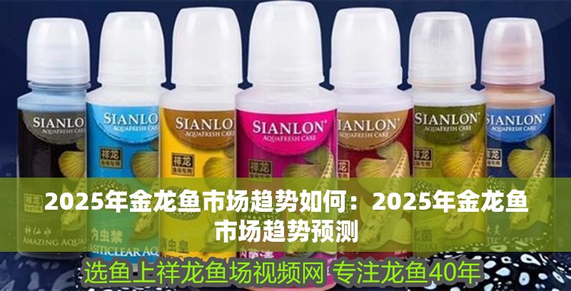2025年金龍魚市場趨勢如何：2025年金龍魚市場趨勢預(yù)測