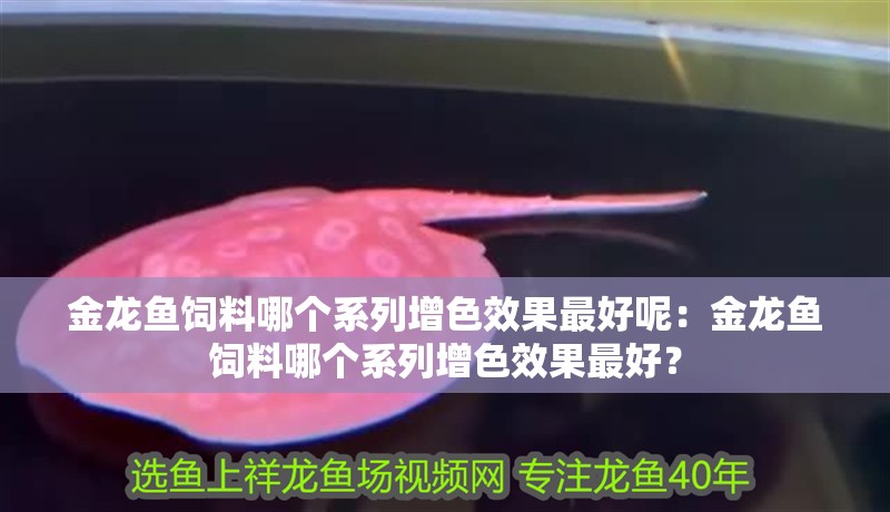 金龍魚飼料哪個系列增色效果最好呢：金龍魚飼料哪個系列增色效果最好？