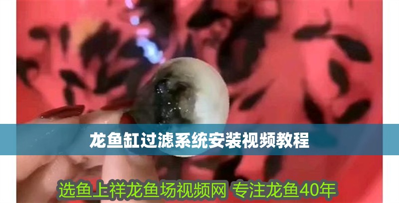 龍魚缸過濾系統(tǒng)安裝視頻教程