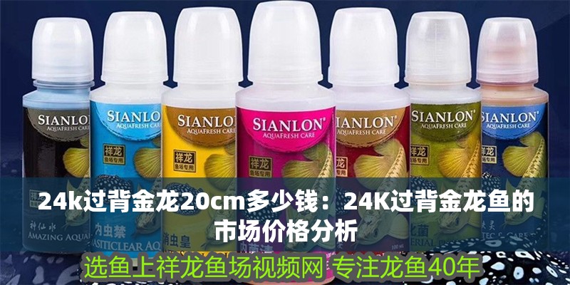 24k過背金龍20cm多少錢：24K過背金龍魚的市場價格分析