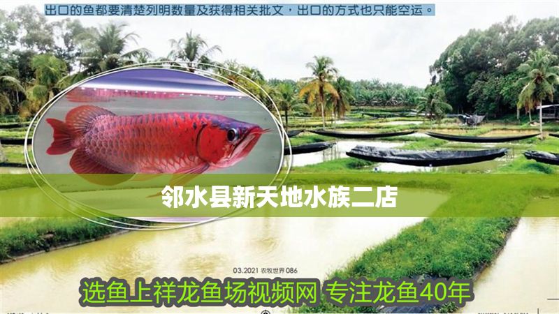 鄰水縣新天地水族二店