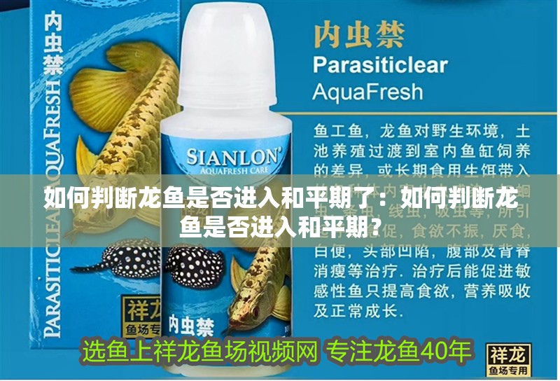 金龍魚和虎魚：金龍魚和虎魚可以混養嗎