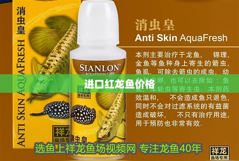 進口紅龍魚價格