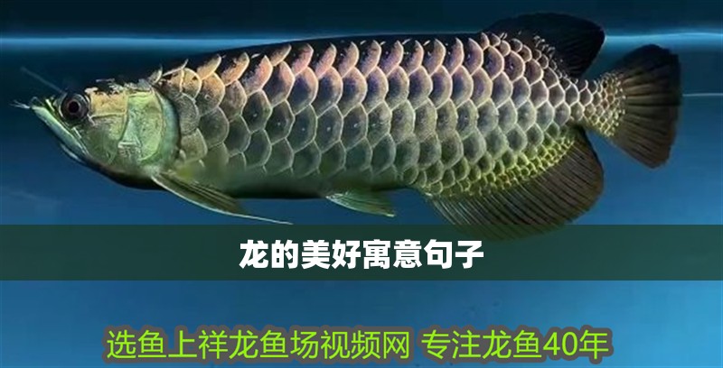 龍的美好寓意句子