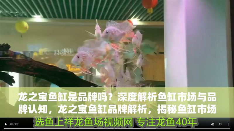 龍之寶魚缸是品牌嗎？深度解析魚缸市場與品牌認知，龍之寶魚缸品牌解析，揭秘魚缸市場與消費者認知