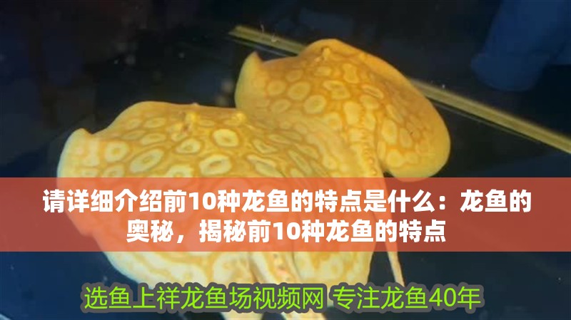 請詳細介紹前10種龍魚的特點是什么：龍魚的奧秘，揭秘前10種龍魚的特點