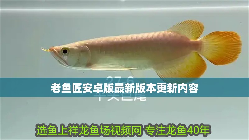 老魚匠安卓版最新版本更新內容