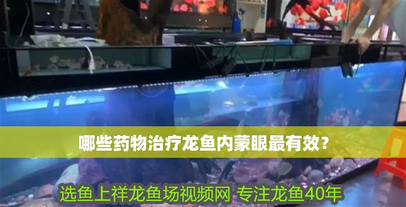 哪些藥物治療龍魚內蒙眼最有效？