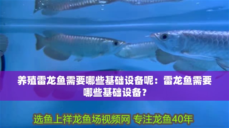 養殖雷龍魚需要哪些基礎設備呢：雷龍魚需要哪些基礎設備？