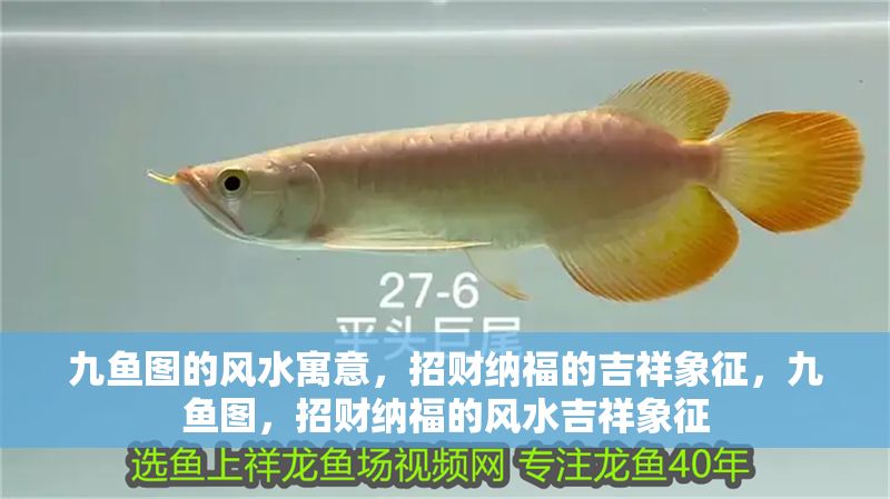九魚圖的風水寓意，招財納福的吉祥象征，九魚圖，招財納福的風水吉祥象征