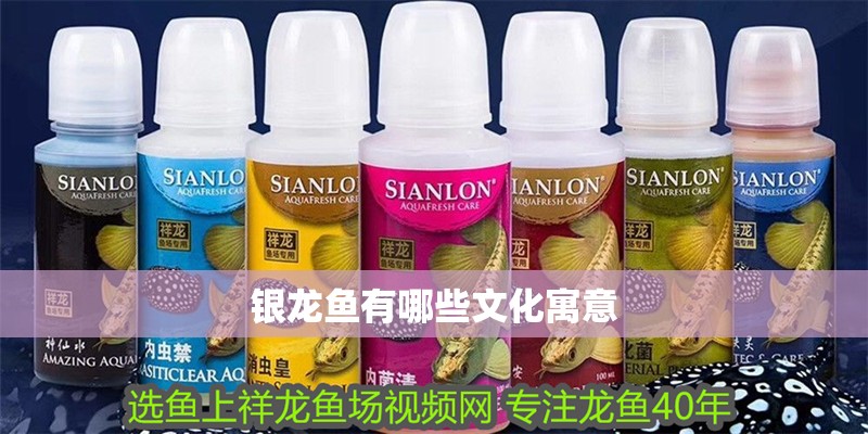 銀龍魚有哪些文化寓意