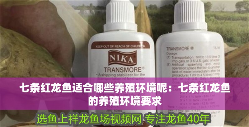 七條紅龍魚(yú)適合哪些養(yǎng)殖環(huán)境呢：七條紅龍魚(yú)的養(yǎng)殖環(huán)境要求