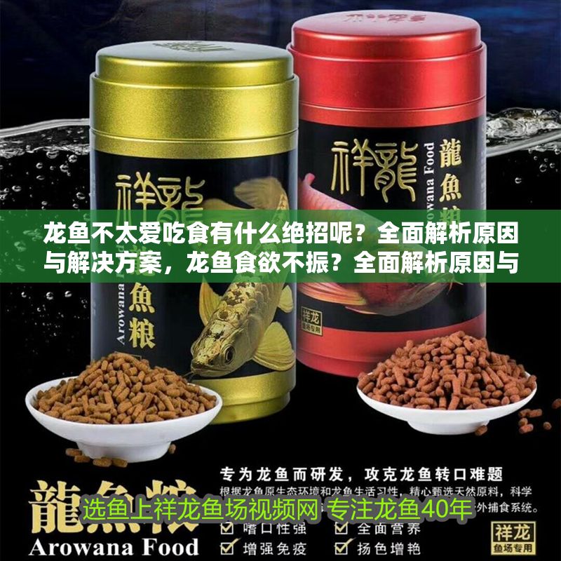 龍魚不太愛吃食有什么絕招呢？全面解析原因與解決方案，龍魚食欲不振？全面解析原因與實(shí)用解決技巧