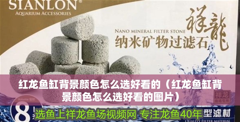 紅龍魚缸背景顏色怎么選好看的（紅龍魚缸背景顏色怎么選好看的圖片）