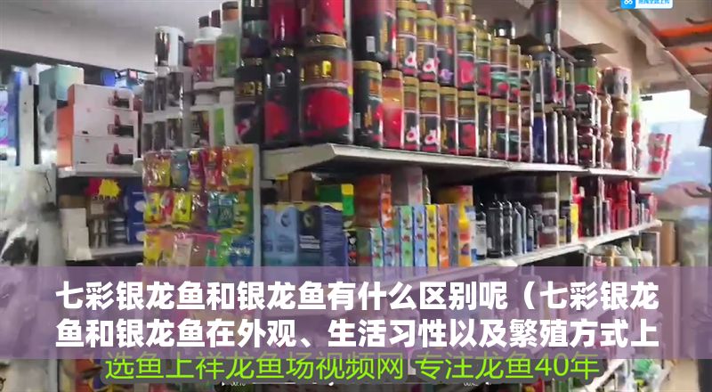 七彩銀龍魚(yú)和銀龍魚(yú)有什么區(qū)別呢（七彩銀龍魚(yú)和銀龍魚(yú)在外觀、生活習(xí)性以及繁殖方式上存在差異）