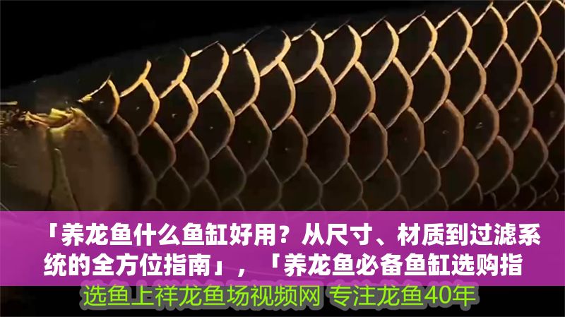「養龍魚什么魚缸好用？從尺寸、材質到過濾系統的全方位指南」，「養龍魚必備魚缸選購指南，尺寸、材質與過濾系統全解析」