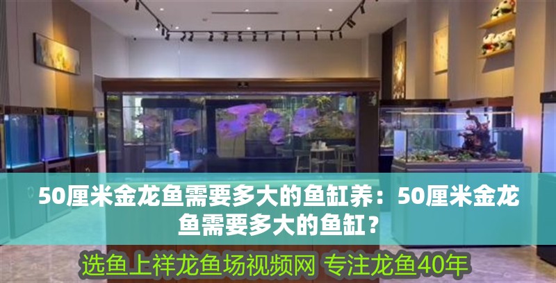 50厘米金龍魚需要多大的魚缸養：50厘米金龍魚需要多大的魚缸？