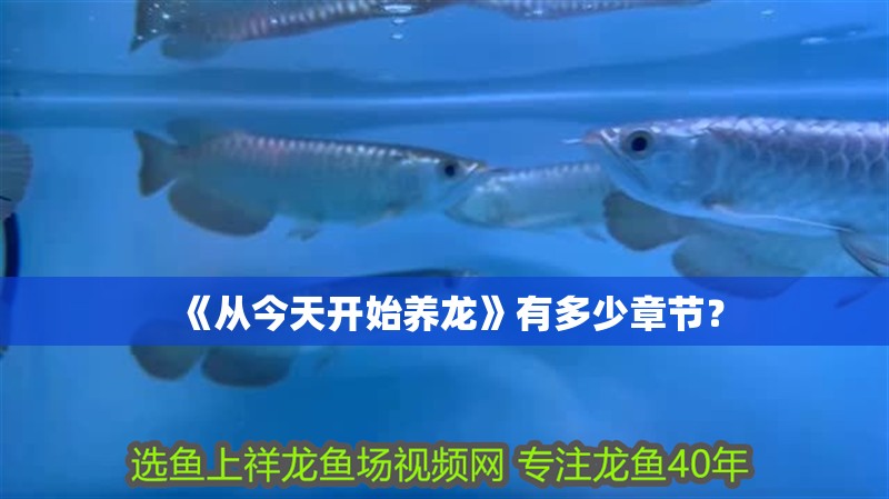 《從今天開始養龍》有多少章節？