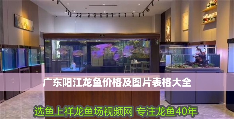 廣東陽江龍魚價格及圖片表格大全