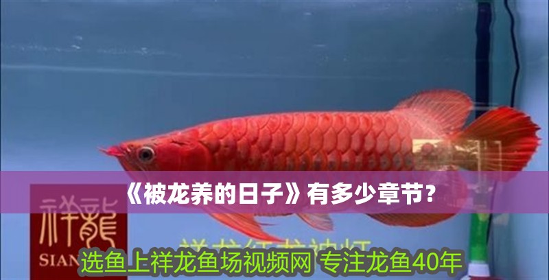 《被龍養的日子》有多少章節？