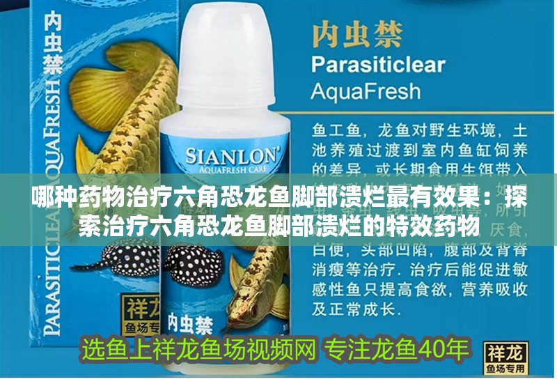 金龍魚掉眼手術費用：金龍魚掉眼手術多少錢金龍魚掉眼手術多少錢