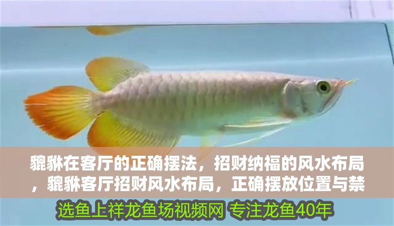 貔貅在客廳的正確擺法，招財納福的風(fēng)水布局，貔貅客廳招財風(fēng)水布局，正確擺放位置與禁忌全解析