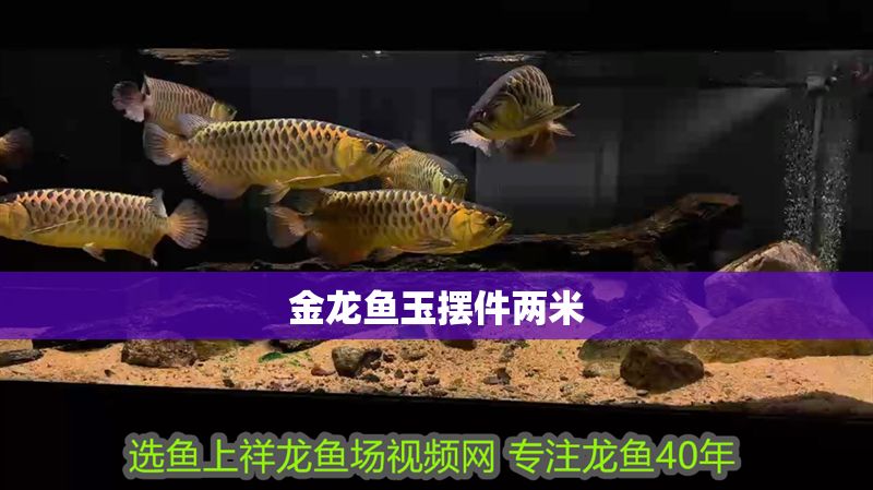 金龍魚玉擺件兩米