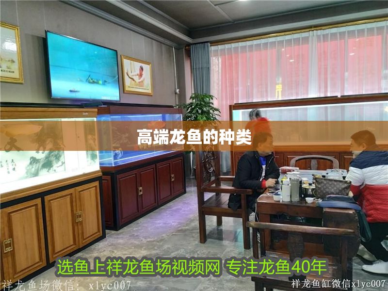 高端龍魚的種類
