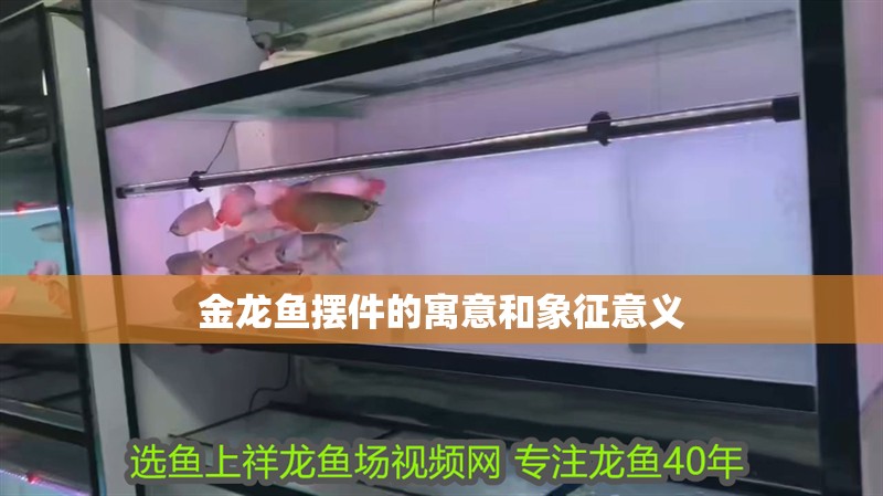 金龍魚擺件的寓意和象征意義