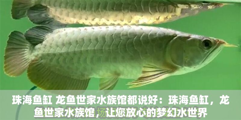 珠海魚缸 龍魚世家水族館都說好：珠海魚缸，龍魚世家水族館，讓您放心的夢幻水世界