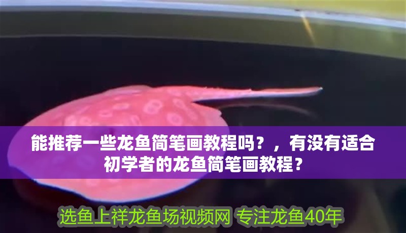 能推薦一些龍魚簡筆畫教程嗎？，有沒有適合初學者的龍魚簡筆畫教程？