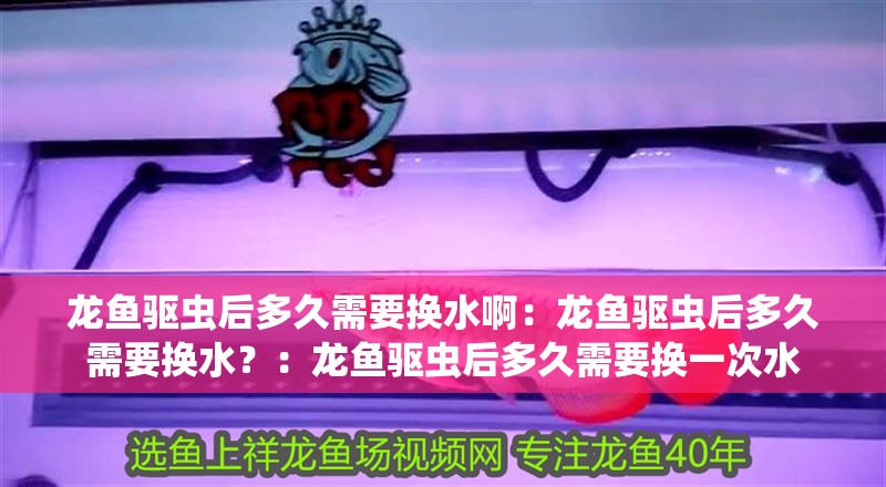 龍魚驅蟲后多久需要換水啊：龍魚驅蟲后多久需要換水？：龍魚驅蟲后多久需要換一次水