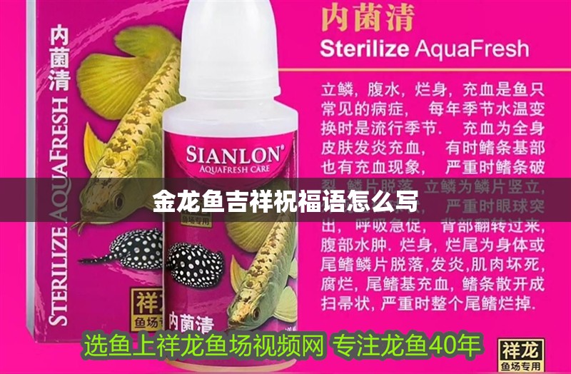 金龍魚吉祥祝福語怎么寫