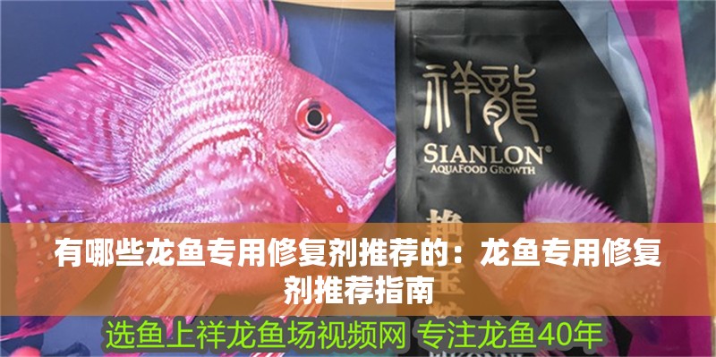 有哪些龍魚專用修復劑推薦的：龍魚專用修復劑推薦指南