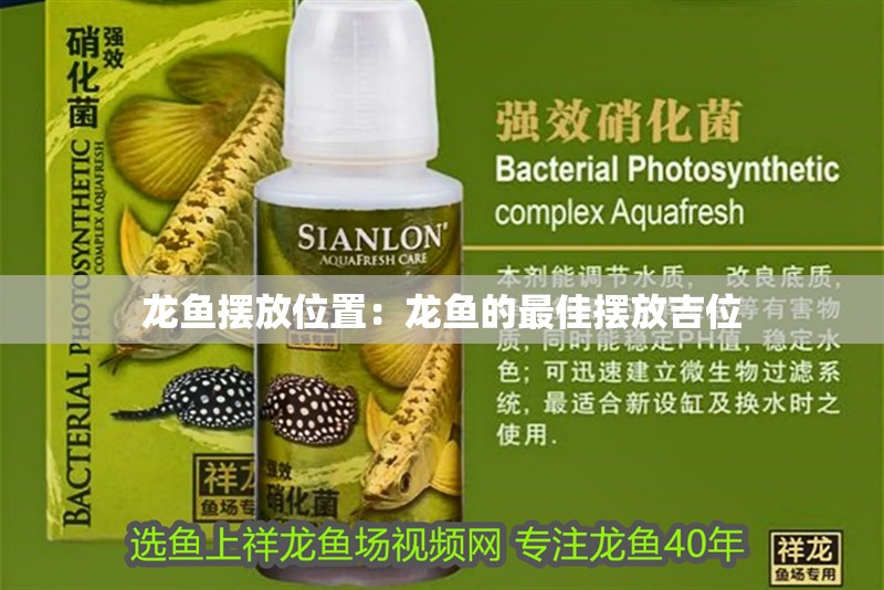 龍魚擺放位置：龍魚的最佳擺放吉位