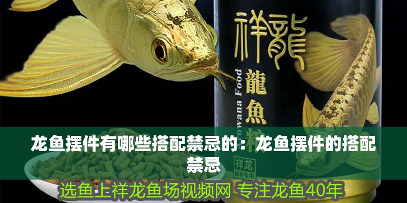 龍魚擺件有哪些搭配禁忌的：龍魚擺件的搭配禁忌
